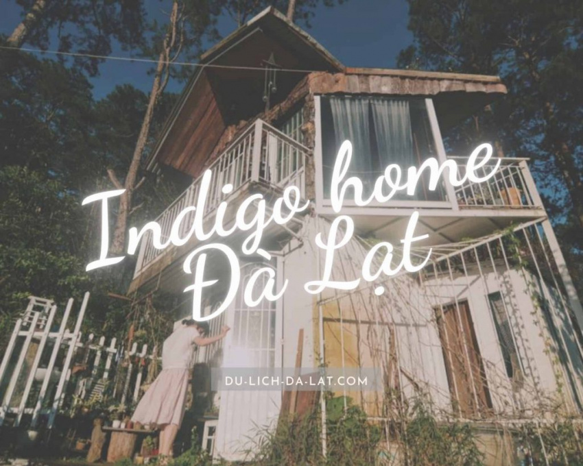 Indigo Home Đà Lạt – Chốn mộng mơ siêu xinh cho kì nghỉ trọn vẹn