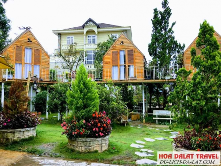 kinh nghiệm, inthepines homestay dalat – vẻ đẹp hoang dại của căn nhà gỗ trên không