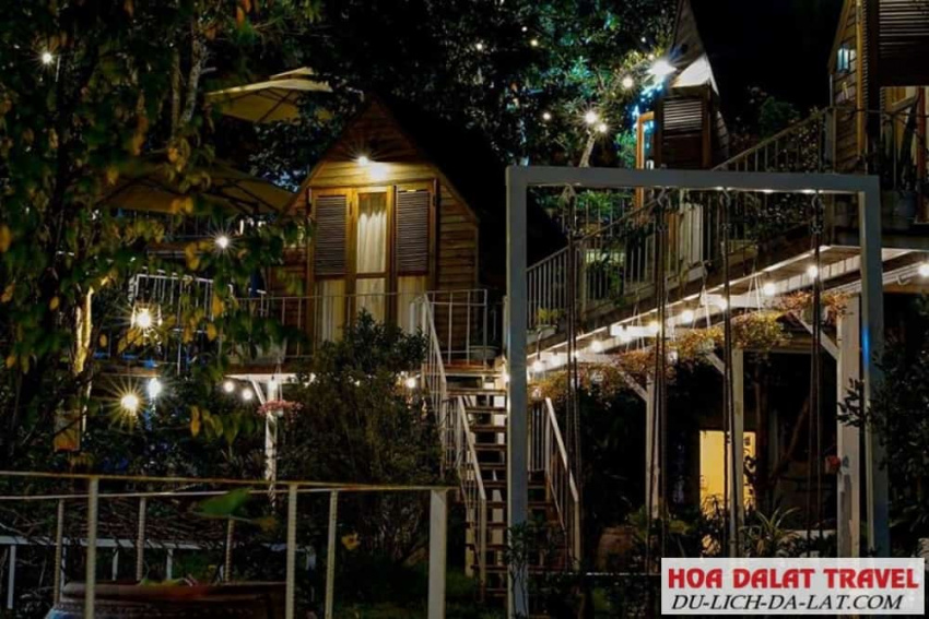 kinh nghiệm, inthepines homestay dalat – vẻ đẹp hoang dại của căn nhà gỗ trên không