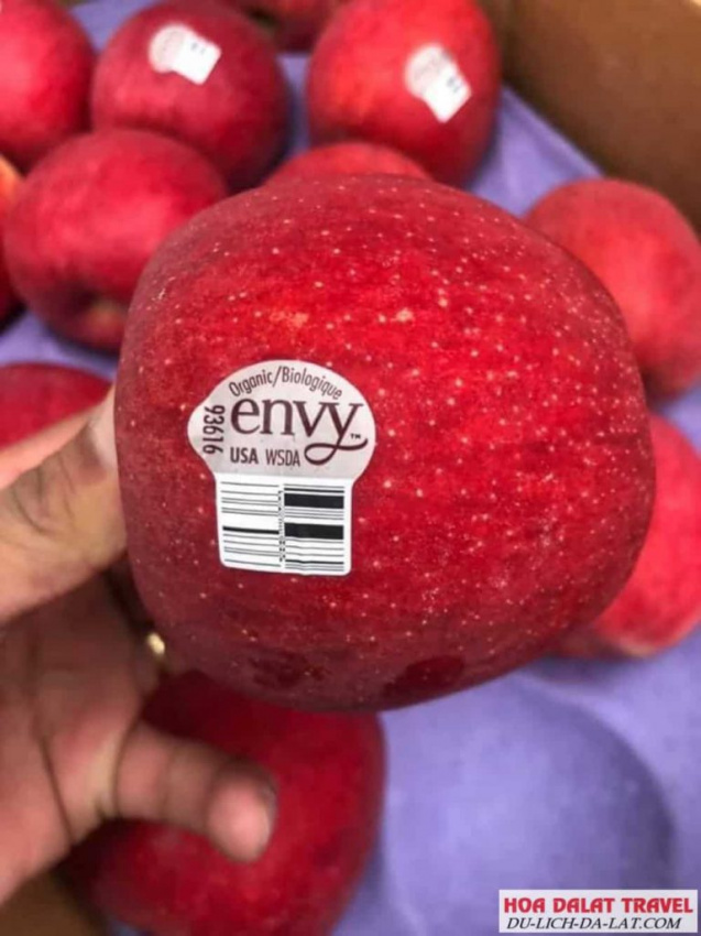 kinh nghiệm, top 7 cửa hàng trái cây sạch và an toàn đà lạt mới nhất 2022