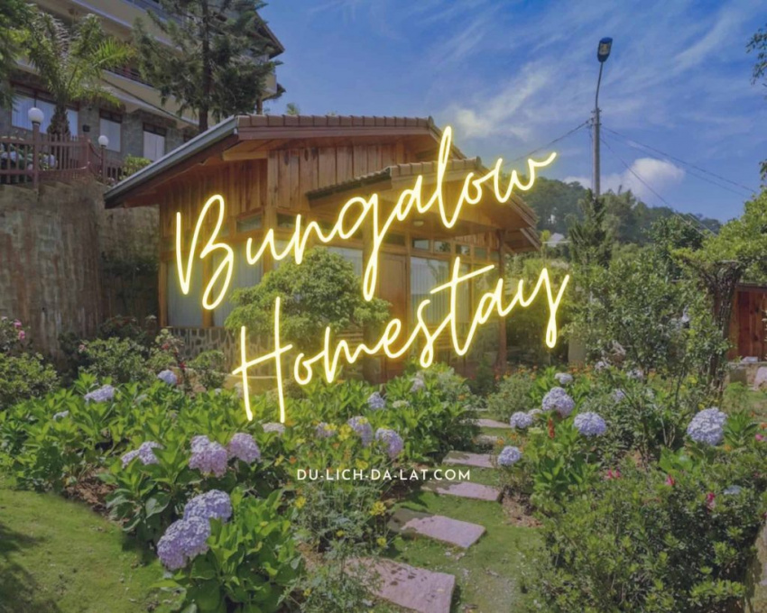 Những điều cần biết về Bungalow Homestay Đà Lạt | Review chi tiết