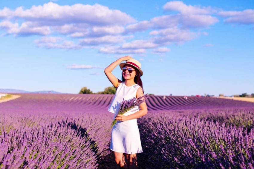 kinh nghiệm, review đường đi 2 cánh đồng hoa lavender đà lạt mới view siêu đẹp
