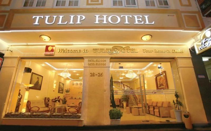 Review Khách sạn Tulip Đà Lạt 1 2 3 gần chợ Đà Lạt giá rẻ chất lượng