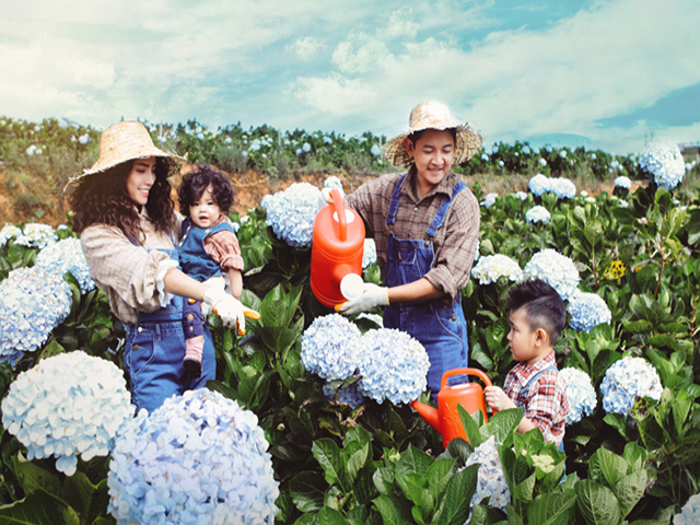 kinh nghiệm, trọn bộ bí kíp đi 5 vườn hoa cẩm tú cầu đà lạt đang ‘gây sốt’ năm nay