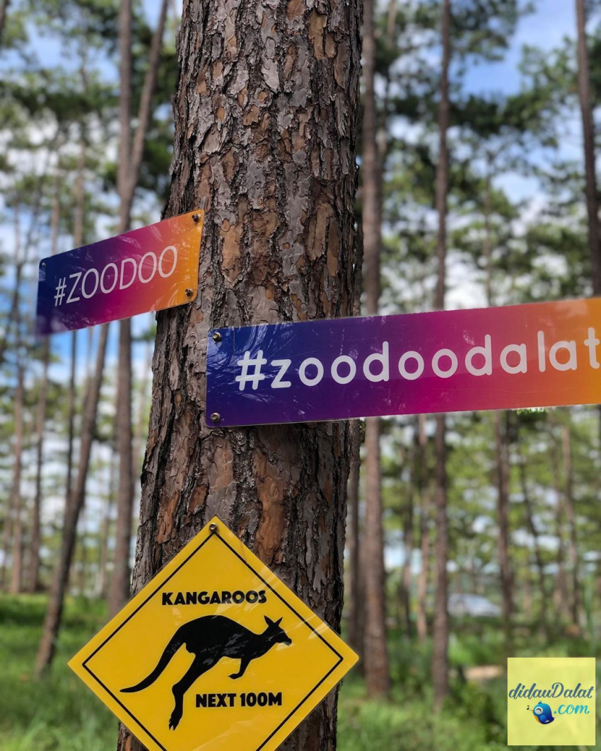 review zoodoo đà lạt với nhiều loài vật ngộ nghĩnh
