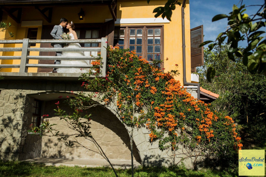 review ana mandara villas da lat resort & spa từ a đến z