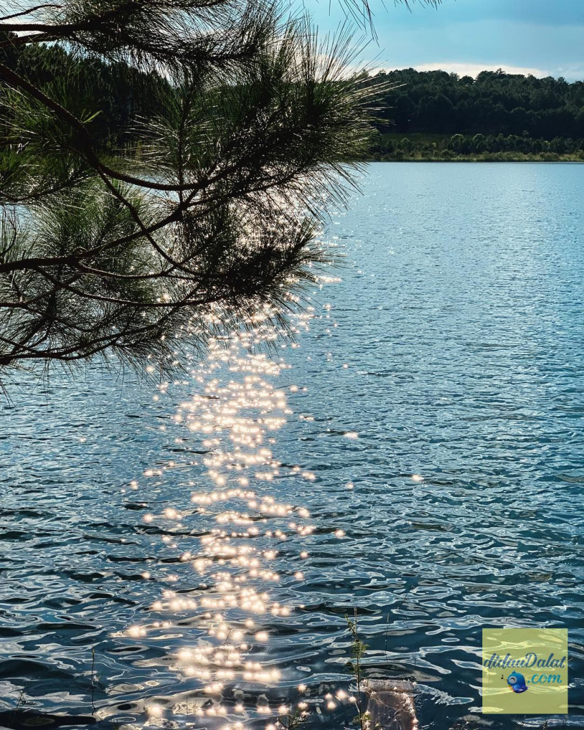 hồ tuyền lâm đà lạt – mê mẩn với cảnh sắc thiên nhiên tuyệt đẹp