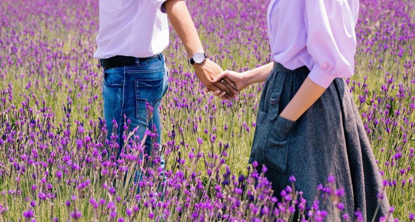 Vẻ đẹp thơ mộng của những cánh đồng hoa Lavender ở Pháp