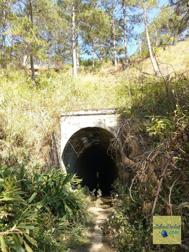 [review] đường hầm xe lửa đà lạt – nơi tạo ra những pic độc lạ
