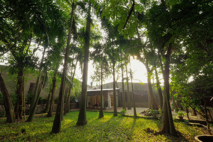 Ngôi nhà 300m2 có cây mọc xuyên mái giữa khu vườn ở Hà Nội
