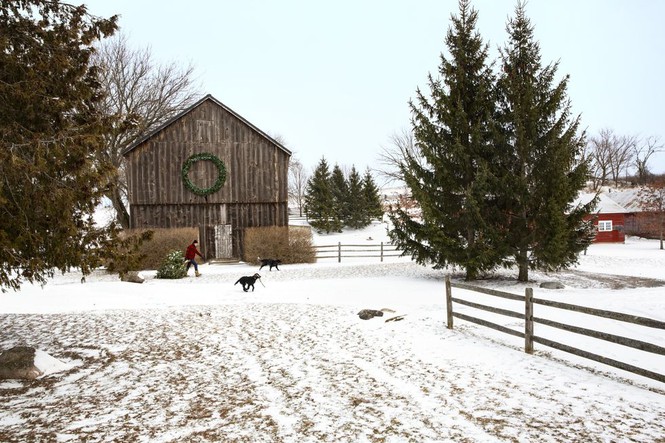 Ấn tượng ngôi nhà giữa tuyết trắng với không khí Noel 