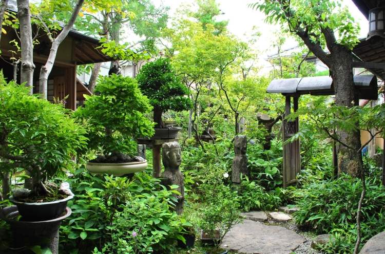 , học cách trang trí vườn cực đẹp với cây bonsai của người nhật