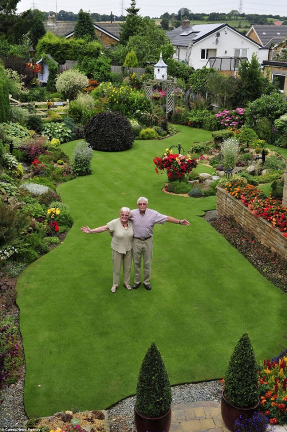 , vợ chồng già dành 30 giờ mỗi tuần suốt 30 năm để chăm vườn