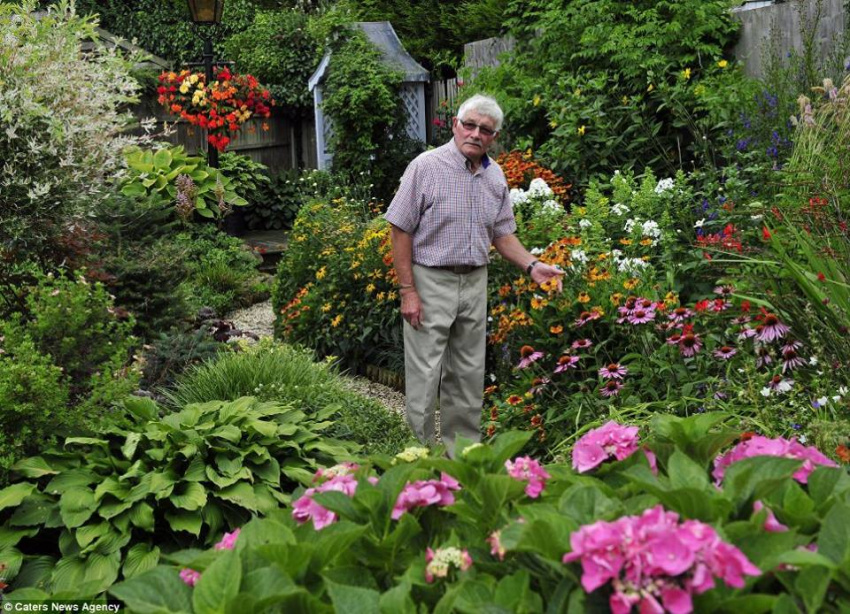 , vợ chồng già dành 30 giờ mỗi tuần suốt 30 năm để chăm vườn