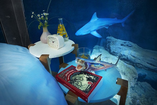 , độc đáo phòng ngủ kính có đàn cá mập bơi quanh
