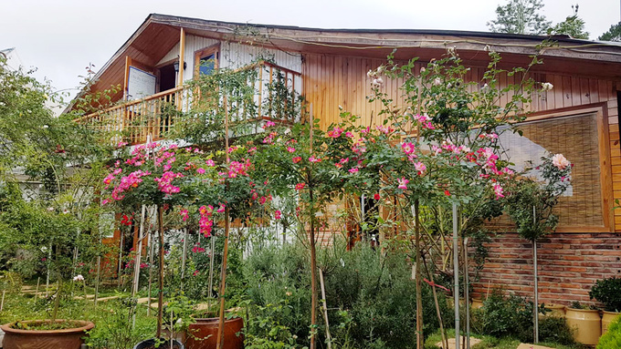Nhà gỗ bình yên giữa vườn hồng 1.000m2 ở Đà Lạt