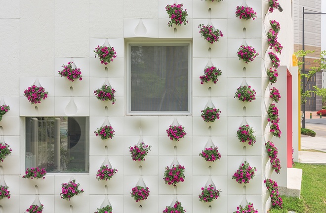 , vườn hoa đặc biệt treo trên tường nhà