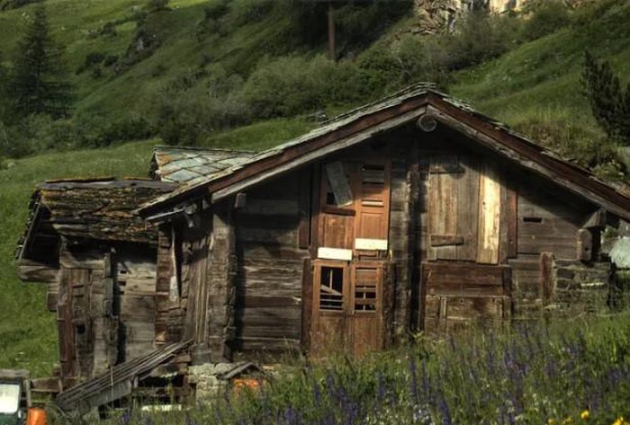 , 10 ngôi nhà gỗ trong rừng như bước ra từ tranh vẽ