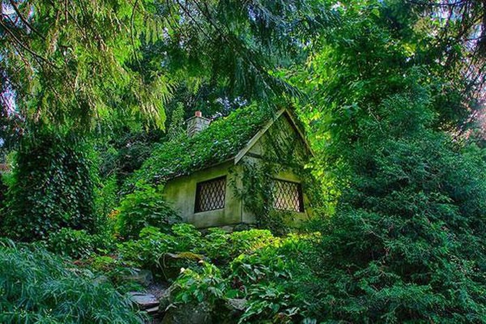 , 10 ngôi nhà gỗ trong rừng như bước ra từ tranh vẽ
