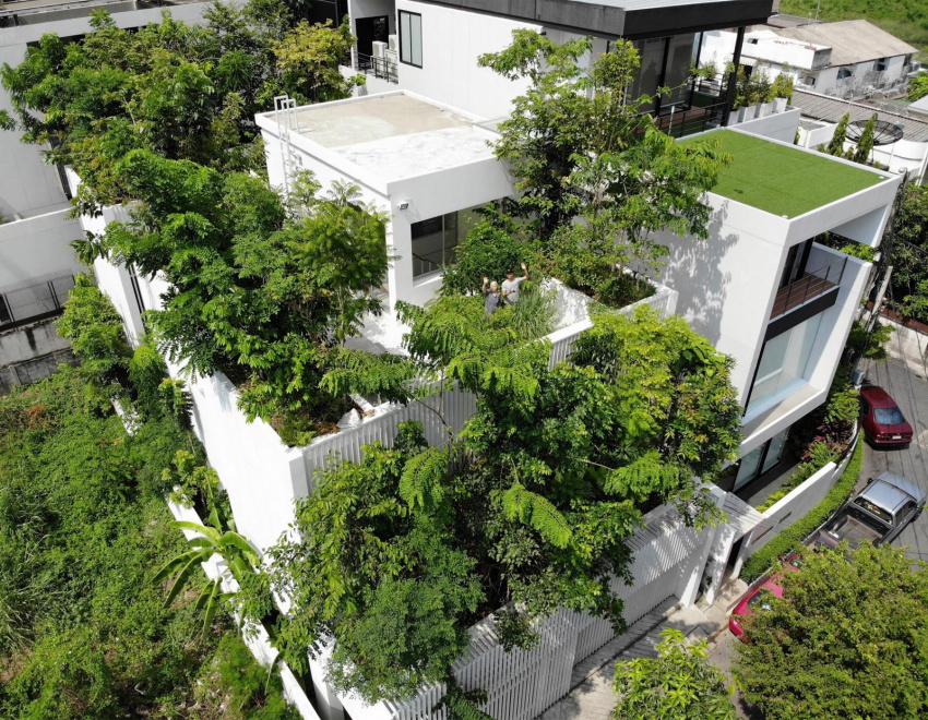 , nhà cho cây xanh - giải pháp giảm thiểu tác động của biến đổi khí hậu