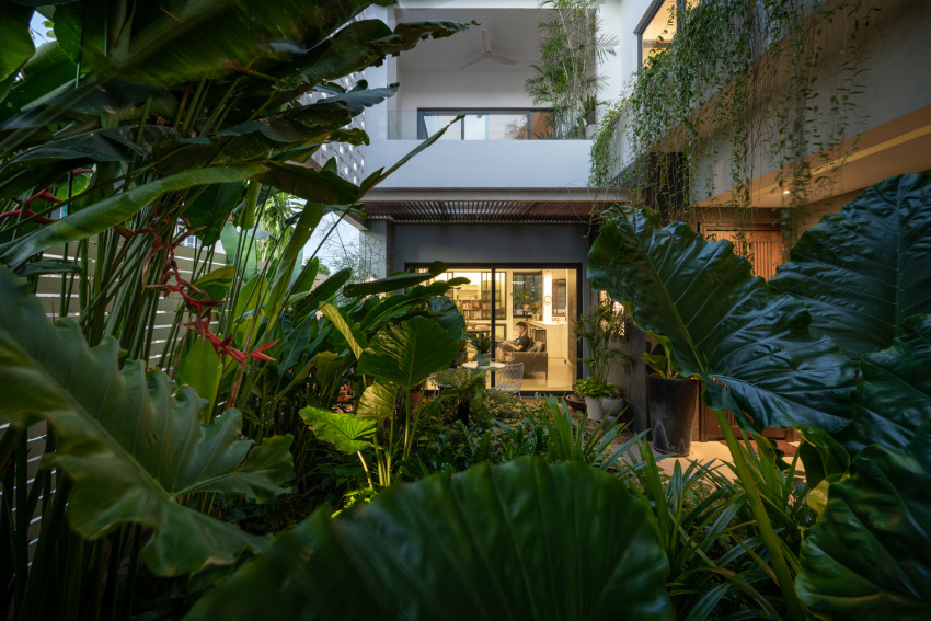 , căn biệt thự chứa cả sân vườn nhiệt đới xanh mát bên trong