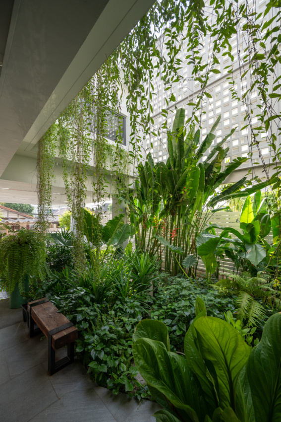 , căn biệt thự chứa cả sân vườn nhiệt đới xanh mát bên trong