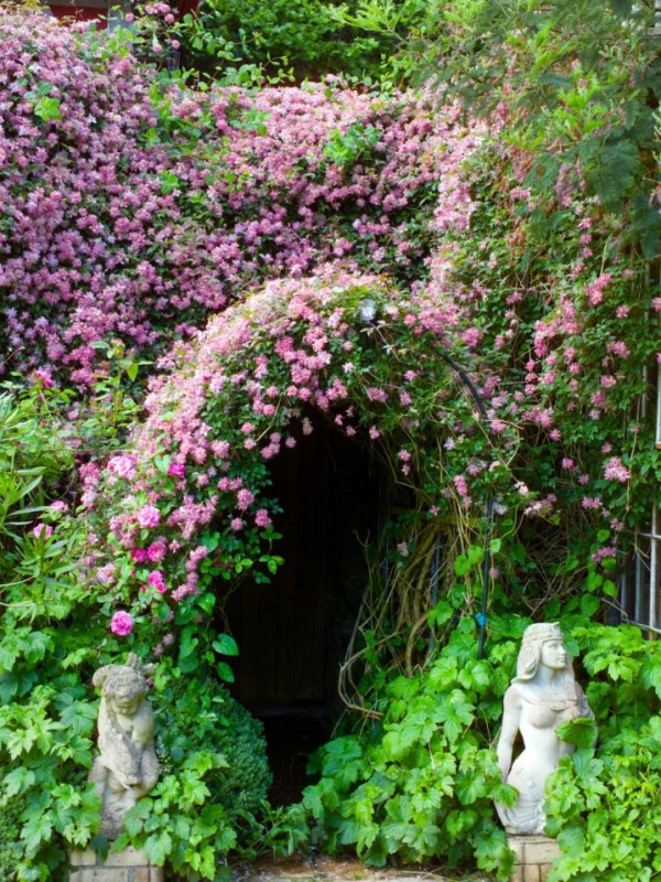 , khu vườn mùa hè ngọt ngào với cổng vòm rực rỡ sắc hoa