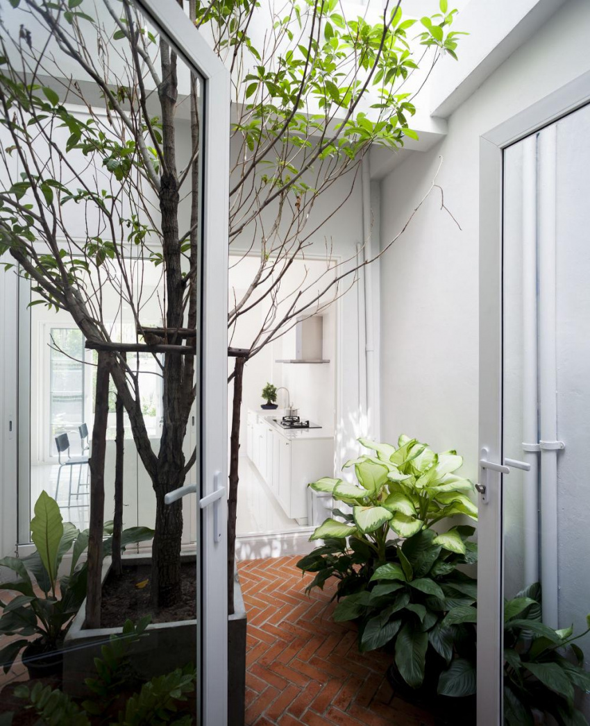 , ấn tượng ngôi nhà ống 3 tầng ở thái lan với khu vườn bonsai xanh mát