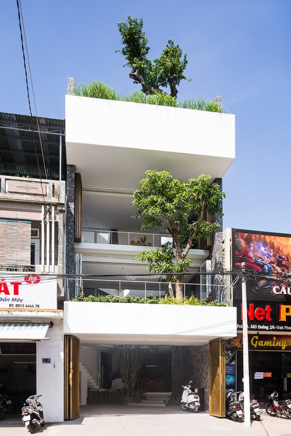Ngôi nhà 3 tầng tràn ngập cây xanh và ánh sáng ở Nha Trang