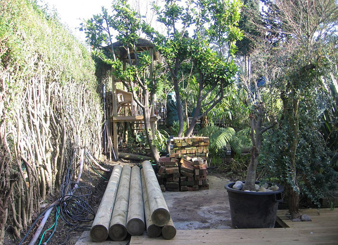 , chủ nhà ở anh dành 20 năm biến vườn sau thành rừng nhiệt đới