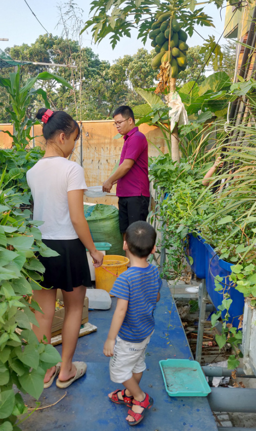 Vườn sân thượng ngập tràn rau quả ở Đồng Nai