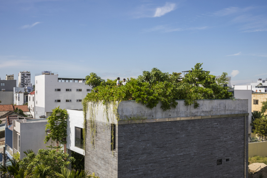 Nhà Thắng - ngôi nhà cho cây xanh ở Đà Nẵng