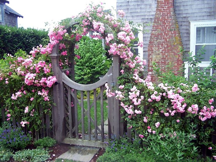 , những cổng nhà có hoa hồng treo đẹp lãng mạn