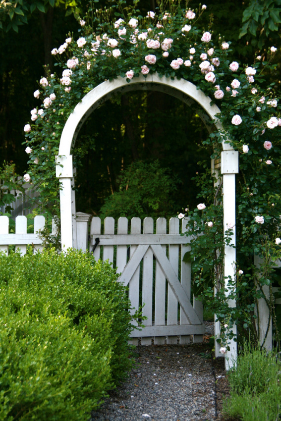 , những cổng nhà có hoa hồng treo đẹp lãng mạn