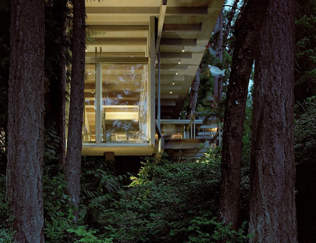 , không gian sống hiện đại trong biệt thự 60 năm tuổi giữa rừng thông