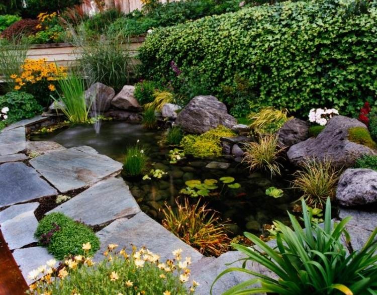 , tô điểm cho sân vườn hiện đại với hồ nước nhỏ