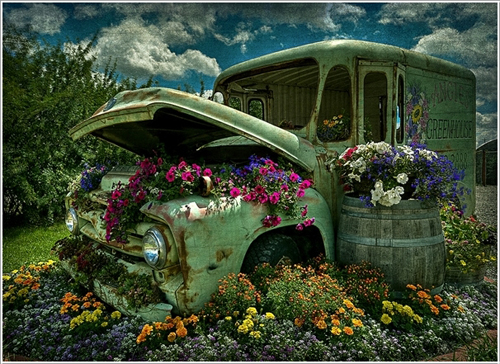 , những chiếc xe hoa tô điểm cho vườn nhà