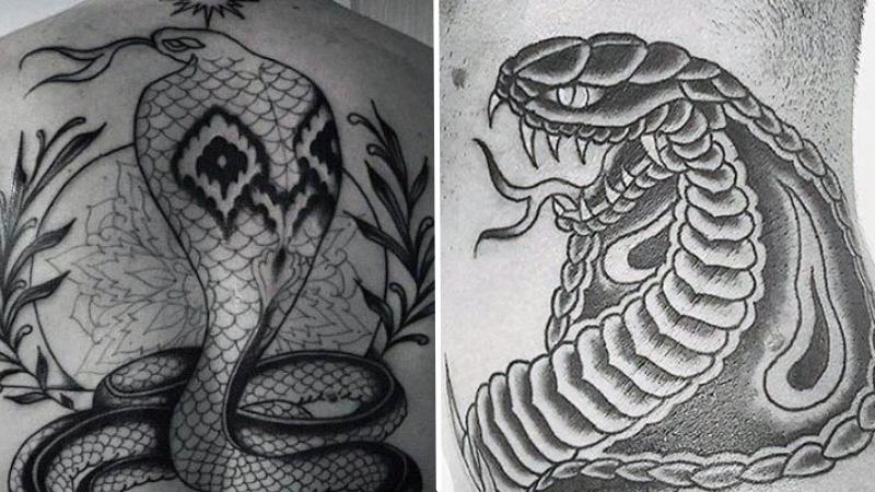 Hình xăm rắn, xăm rắn hổ mang, hình xăm đẹp bắp tay, snake tattoo, hình xăm  động vật | Hình xăm, Hình xăm màu, Xăm