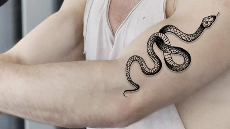 tổng hợp 60+ hình xăm con rắn đẹp nhất, ý nghĩa hình xăm con rắn