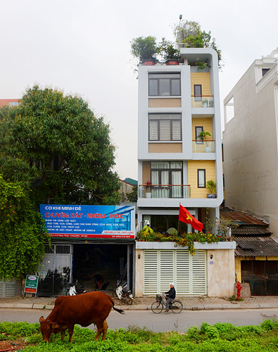 Ban công nhà ống ven đê Hà Nội tràn ngập cây hoa xanh mát