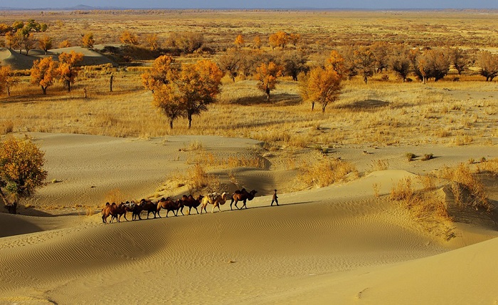 những sa mạc nổi tiếng ở trung quốc, 'hút hồn' trước vẻ bí ẩn của những sa mạc nổi tiếng ở trung quốc
