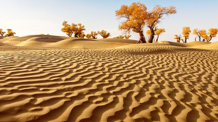 những sa mạc nổi tiếng ở trung quốc, 'hút hồn' trước vẻ bí ẩn của những sa mạc nổi tiếng ở trung quốc