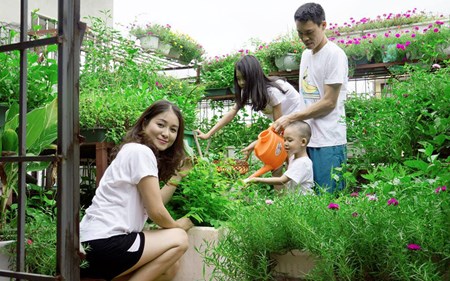 , vườn rau sạch trên sân thượng thêm gắn kết gia đình