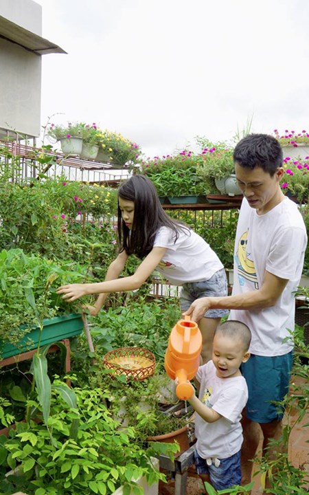 , vườn rau sạch trên sân thượng thêm gắn kết gia đình