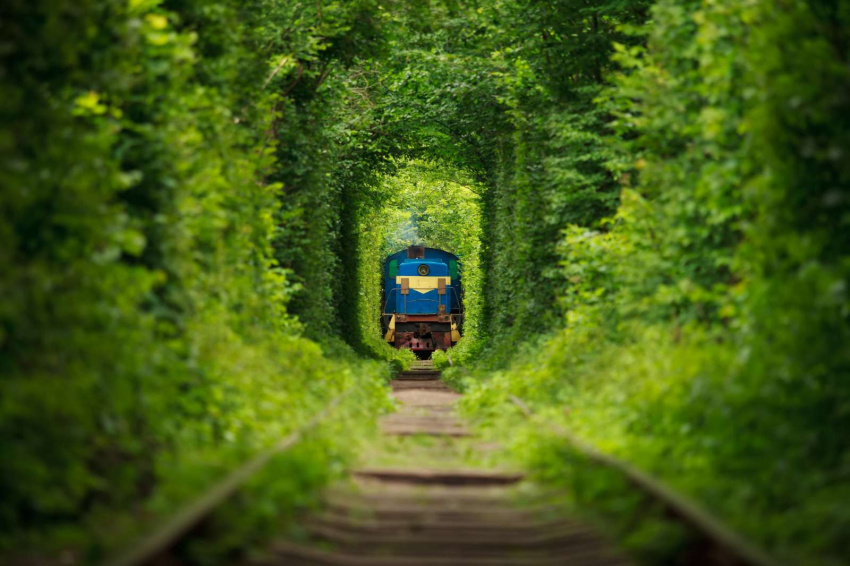 Khám phá Tunnel Of Love – Đường hầm tình yêu đẹp kinh ngạc ở Ukraina