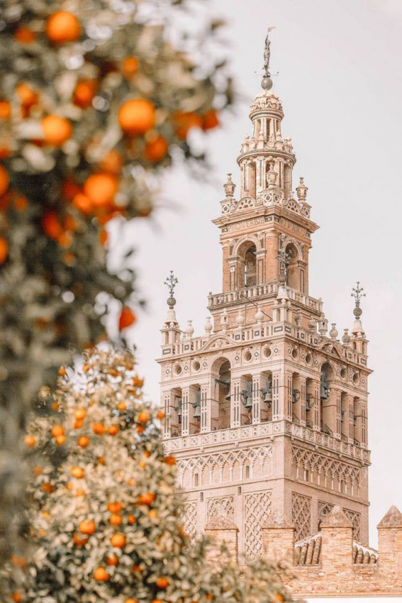 Sevilla: ký ức về Columbus và điệu nhảy Flamenco huyền thoại