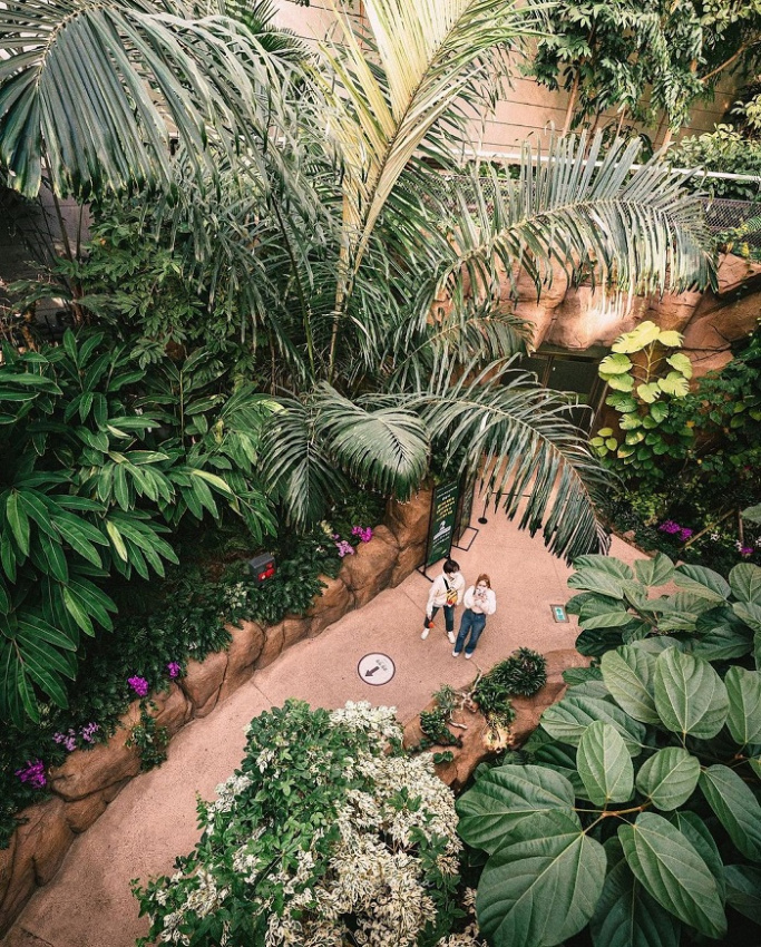 Vườn bách thảo Seoul Botanical Garden – tọa độ hứa hẹn tài trợ ‘1001 kiểu ảnh’ đẹp ngất ngây 