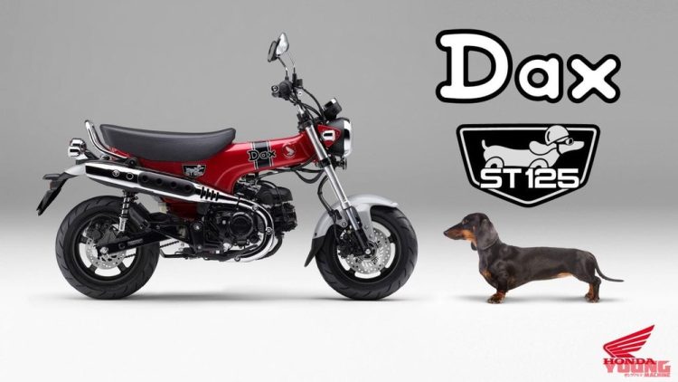honda, tin xe, xe máy, honda st125 dax sắp ra mắt: “chó lạp xưởng” giá gần 100 triệu đồng
