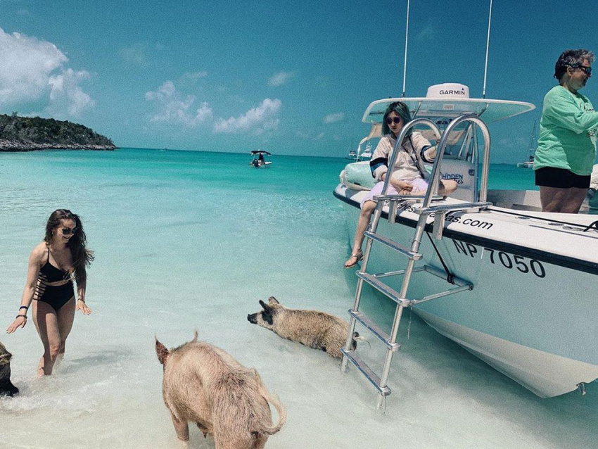 thú cưng, lợn biển, du lịch bằng thuyền, khám phá thiên nhiên, đảo, thiên đường “đảo lợn” có 1-0-2 ở bahamas