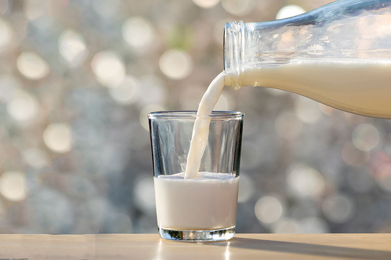 Những lợi ích của sữa tươi đối với sức khoẻ người lớn